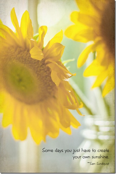 sunflower copy6