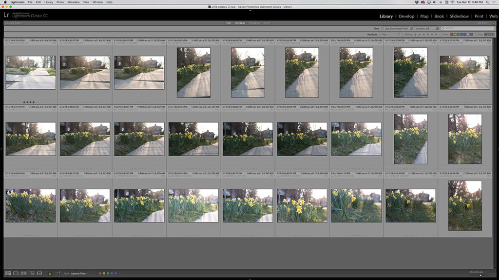 Culling Photos in Lightroom