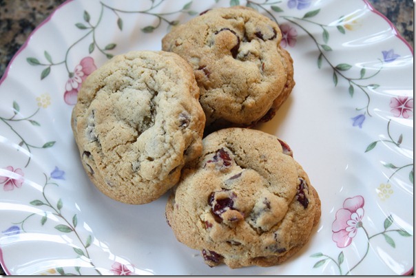 chocolate chip cookie 10-2010