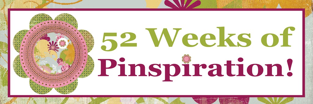 52 Weeks of Pinspiration {Week 15}–Under Sink Organization