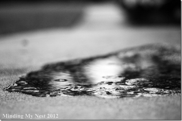 ground-level-puddle-bw