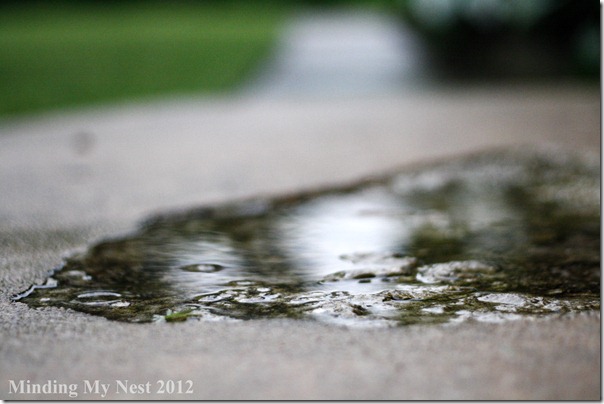 ground-level-puddle