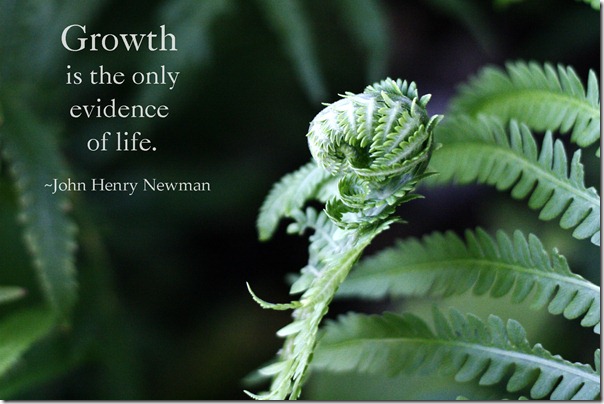 growth is the only evidence of life color
