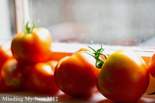 Confessions of a Crazy Tomato Lady