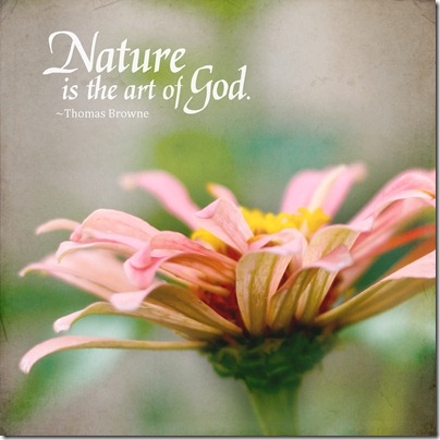 nature is the art of god