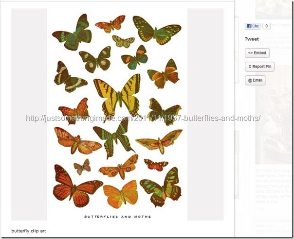 butterfly clipart