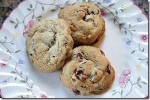 chocolate chip cookie 10-2010