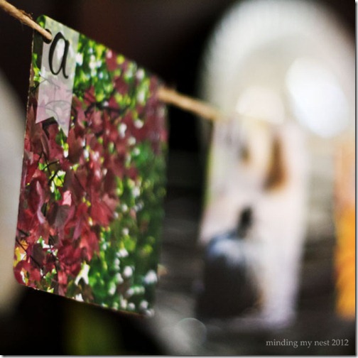 52 Weeks of Pinspiration {Week 42}–Fall Photo Banner