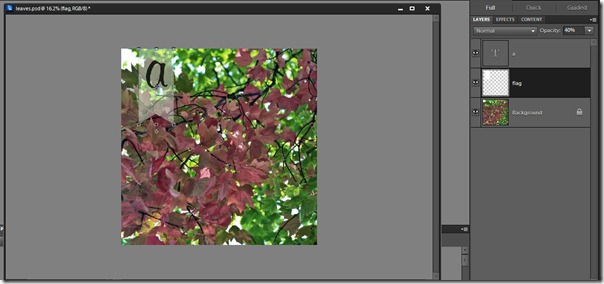 leaves with banner and flag