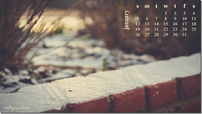 january-2014-web_365