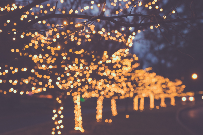 confessions of a christmas light bokeh junkie