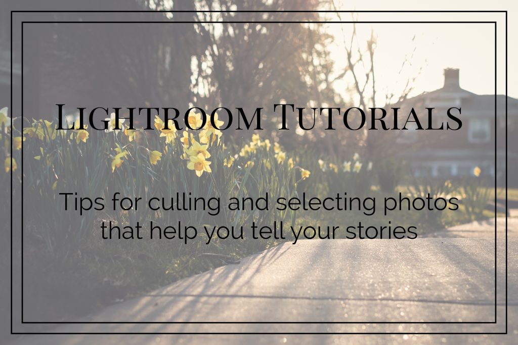 Culling and Selecting Photos in Lightroom