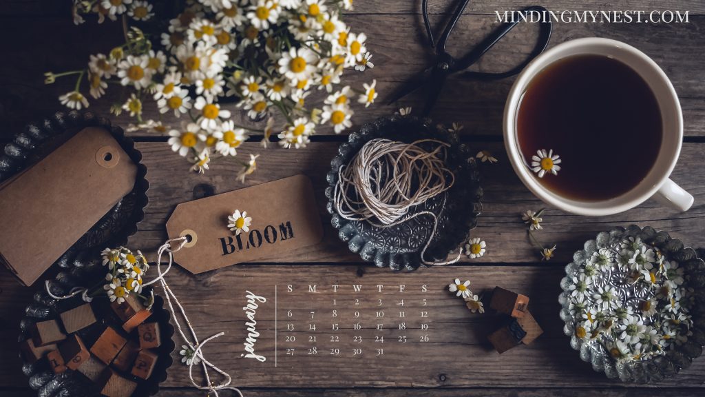 January 2019 Desktop Calendar