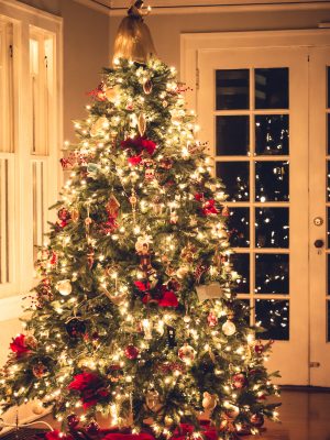 Oh Christmas Tree // Capturing the Magic - minding my nest