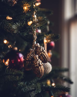 Oh Christmas Tree // Capturing the Magic - minding my nest