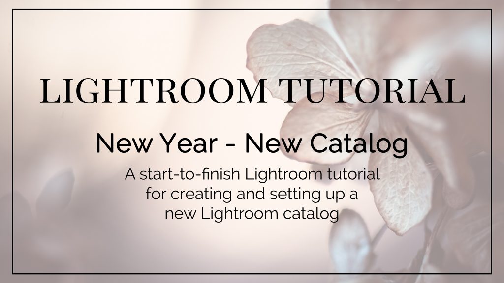 Setting Up a New Lightroom Catalog