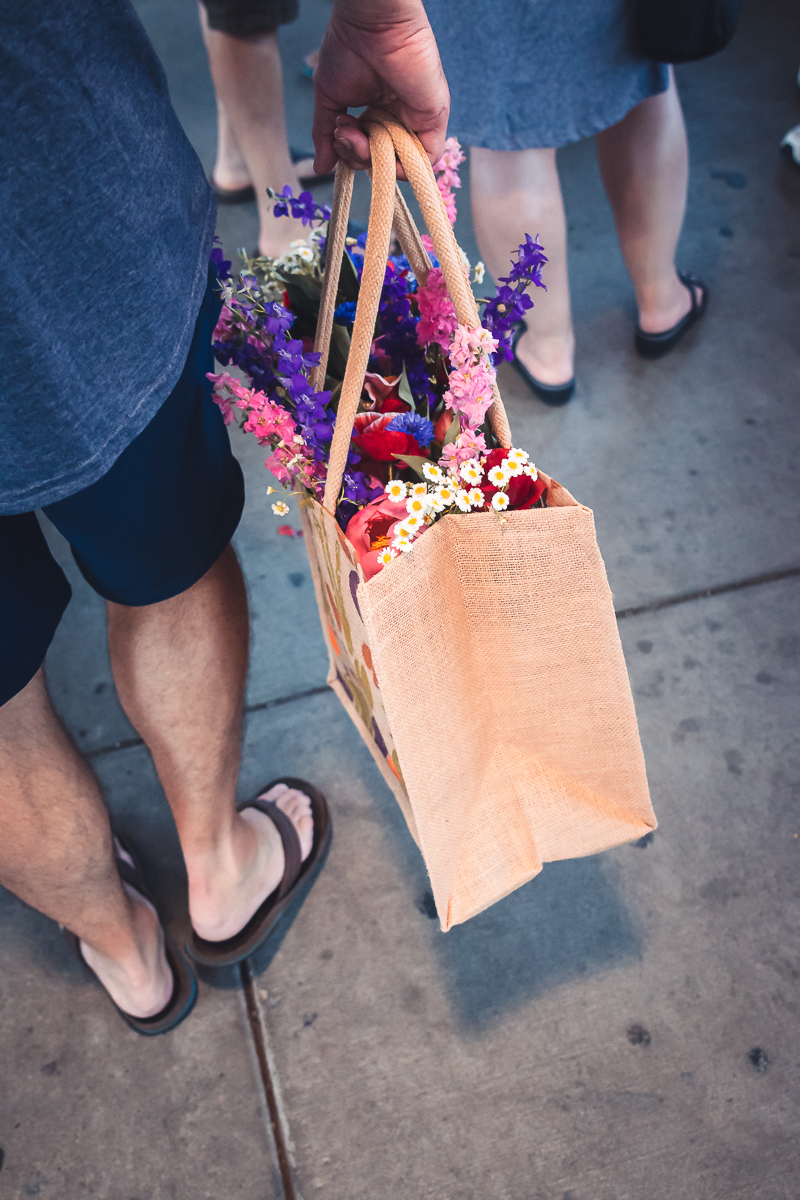 Kansas City River Market minding my nest