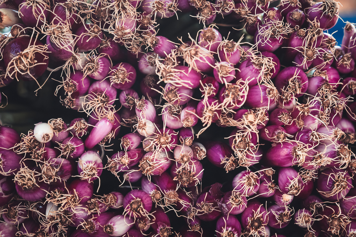 Kansas City River Market minding my nest