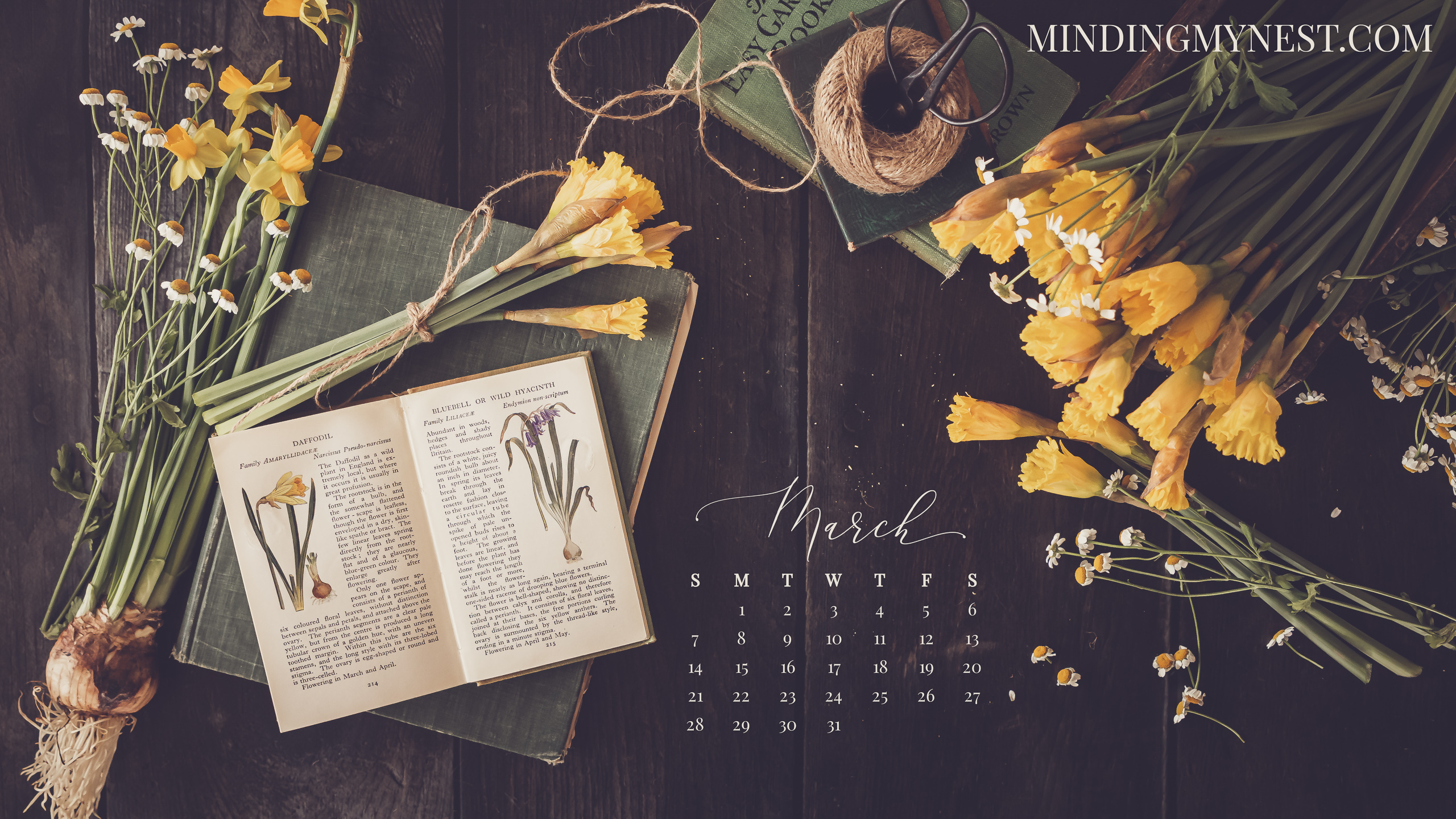 May 2022 wallpapers  55 FREE calendars for your desktop  phone