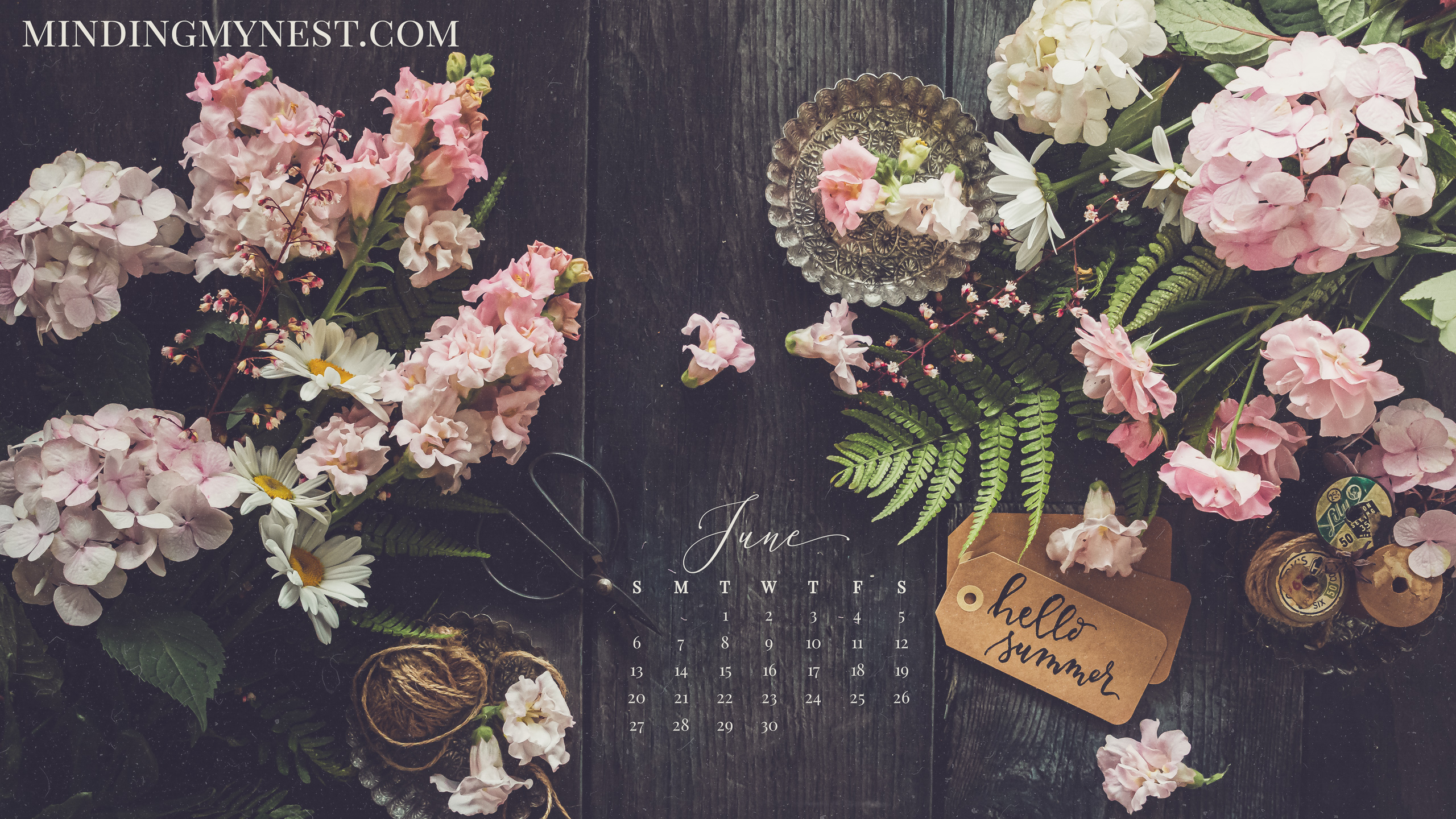 15 Aesthetic June Desktop Wallpaper Freebies  Blush Bossing