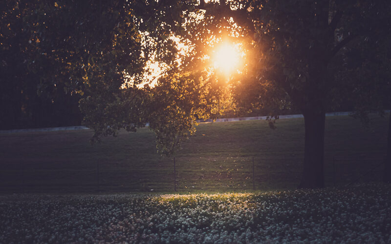 Learning To See | Because a Little Goes A Long Way